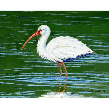 Betsy Drake Betsy Drake PM378 Dicks White Ibis Place Mat - Set of 4 PM378